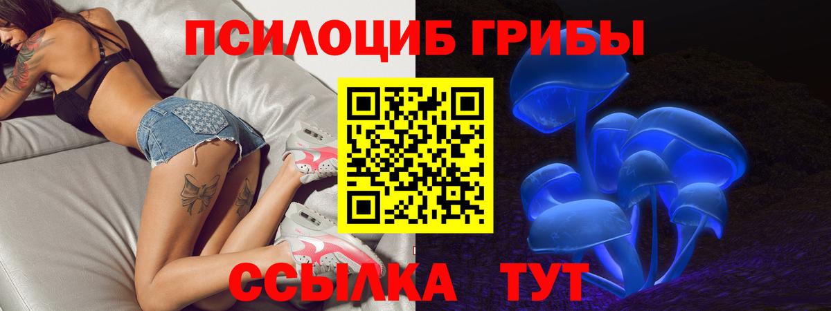 Галлюциногенные грибы Magic Shrooms  Вход с VPN  Ульяновск 