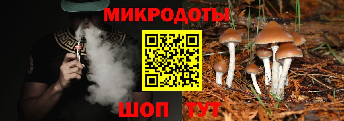 Псилоцибиновые грибы Psilocybine cubensis Ульяновск